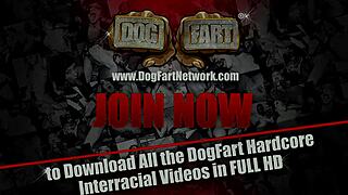 flower tucci stars in a new video series