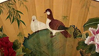 Zhang Xiaoyu Shows Off Hot Chinese Hairy Pussy in Softcore Clip