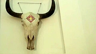 Zhang Xiaoyu Shows Off Hot Chinese Hairy Pussy in Softcore Clip