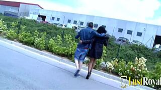 Tasty brunette fucked in the field with facial