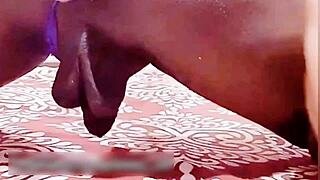 Ever seen the smallest castrated shemale dicks compiled?