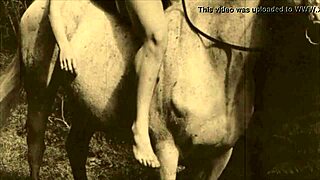 check out dark lantern entertainment’s vintage hairy ride show