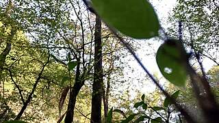 clitlicker662 teases with sloppy solo play in forest setting. what’s next?