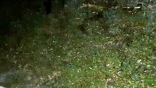 First I Treated The Stranger Girl To A Cigarette And Then I Treated Her To My Pussy - Lesbian Illusion Girls