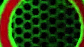 Sexy Feet Sarah Brooke Makes Trainer Cum Hard