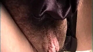 Wife Gives Husband A Homemade Blowjob.