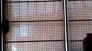 I watch my sister move her ass like a turkish girl