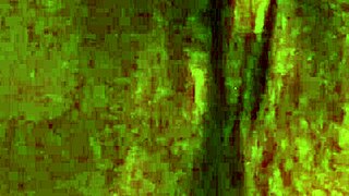 i'm opening my virgin wet pussy to be licked