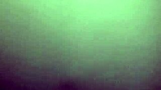 Wet Pussy And Asshole In Bent Over Doggystyle