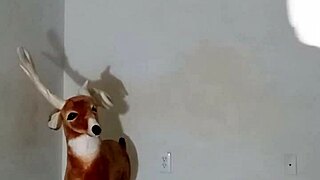 More ways to show off my zodiacs patience without masturbating