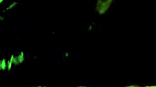 steph is giving me an amazing blowjob right now, it's so intense