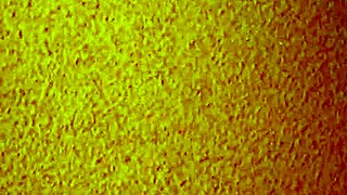 asian mature escort offers cheap services in brothel with feet licking and missionary