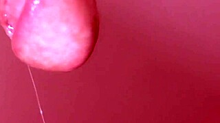 Why does the cheating wife swallow cum in part 01?