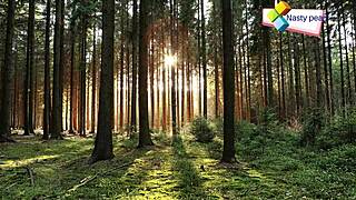 Sweet cock, lie down, let me fuck you hard