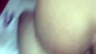 Video Update 303 From October 19 2024