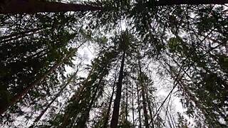 Real Russian couple caught giving unexpected blowjob in forest.