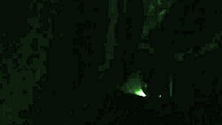 Outdoor fucking with moaning and pussy play