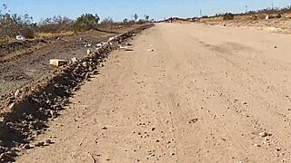 ebony bbw caught in public car sex on valentine's day