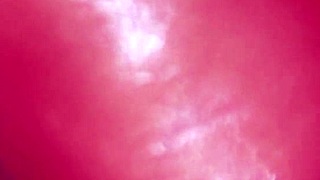 Japanese wife gives blowjob and swallows cum.