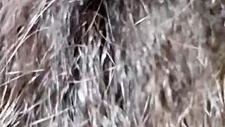 Feeling BBW Passion.