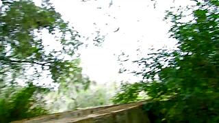 This sexy chick with big tits gave a wild blowjob in nature. Her shaved pussy got licked hard too!