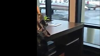 Is that phat ass shaking solo with payper dollz?