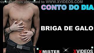 i'm watching this brazilian cock fight with amateurs