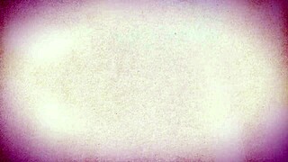 shared accommodation with chanel camryn and elias cash