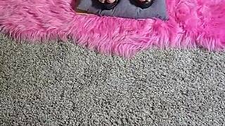 Can you believe she's bound and balancing on those spikey stilettos backstage?