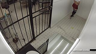 the new immigration policy s korean edition with mina moon