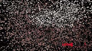 Emily Pink Gets Double Anal Fucked By Three Guys With Toys And Deepthroat