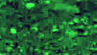 free sadomasochism videos online