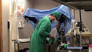 Phoenix Rose在佛罗里达遭Dr Tampa振动棒羞辱