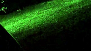 i'm spying on my wife as she cheats on me