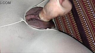 Fucking through torn stockings, filling tight shaved pussy with creampie?