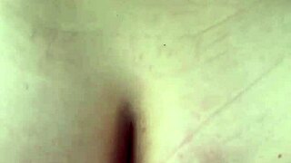 Busty Hooker Rides Cock Reverse Cowgirl In Car, Takes Load On Phat Ass