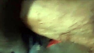 Nigarchrist's Update 1406 Features Petal on June 13, 2025