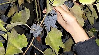 my russian neighbor thanks me with hairy beaver cunnilingus