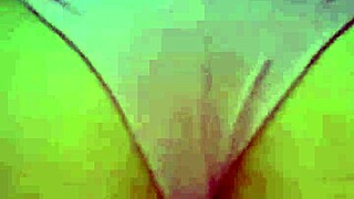 casalbb, i brought a friend for my husband to meet