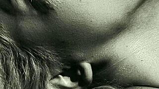 que rico me la chupas mi amor te gustan mis gemidos jalisco mexico