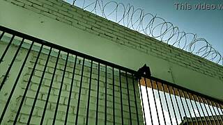 Bound babe gets brutal assfucking in cruel cock clinic!