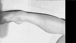 dark lantern entertainment presents vintage taboo family from my secret life the erotic confessions of a victorian english gentleman