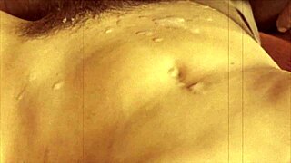 dark lantern entertainment presents vintage taboo family from my secret life the erotic confessions of a victorian english gentleman