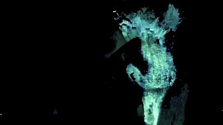 dark lantern entertainment presents vintage taboo family from my secret life the erotic confessions of a victorian english gentleman