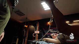 Perra es atada y sodomizada por su amo y cogida por el aprendiz de este