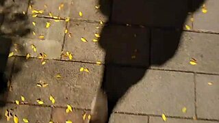 Shemale Ting Xuan Feels So Aroused Outdoors Peeing and Removing Underwear to Masturbate Passionately in Park