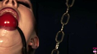 Blonde and brunette lesbians finger and lick tight pussies with dildos in stockings during perverted orgy