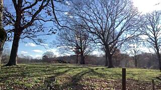 i'm like, clitlicker662 update 23 img 1265 from dec 12 2024... oh man