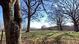 i'm like, clitlicker662 update 23 img 1265 from dec 12 2024... oh man