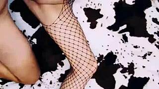 this cute wife in an erotic fishnet bodysuit beautifully spreads her legs for pov anal